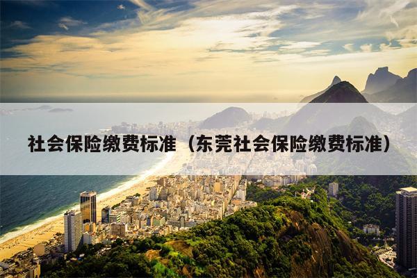 社会保险缴费标准（东莞社会保险缴费标准）