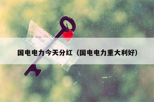 国电电力今天分红（国电电力重大利好）