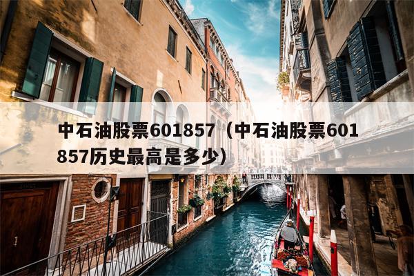 中石油股票601857（中石油股票601857历史最高是多少）