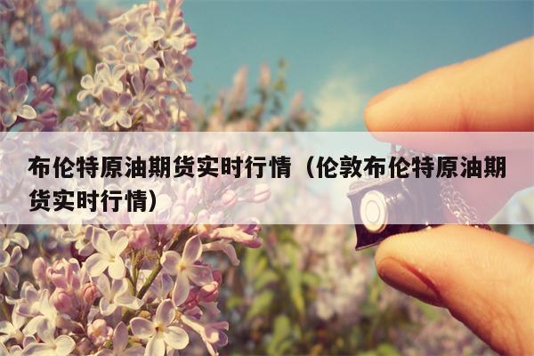 布伦特原油期货实时行情（伦敦布伦特原油期货实时行情）