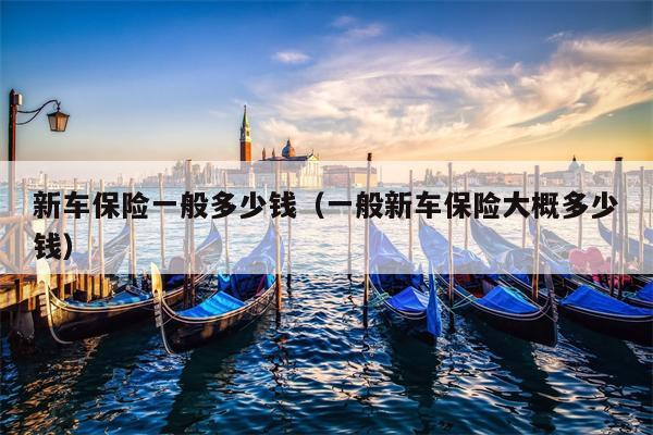 新车保险一般多少钱（一般新车保险大概多少钱）