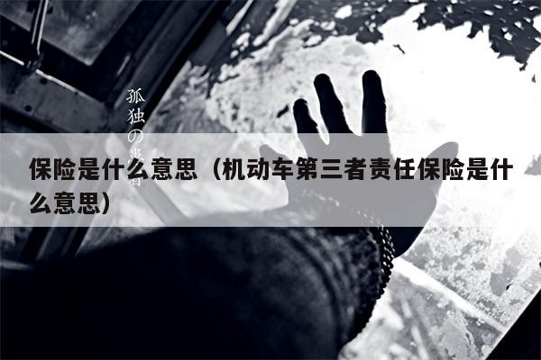 保险是什么意思（机动车第三者责任保险是什么意思）