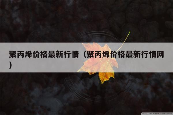 聚丙烯价格最新行情（聚丙烯价格最新行情网）