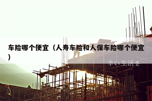 车险哪个便宜（人寿车险和人保车险哪个便宜）