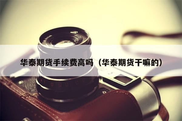 华泰期货手续费高吗（华泰期货干嘛的）