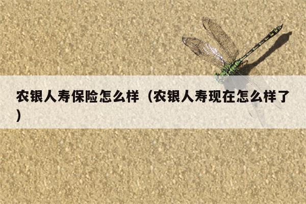 农银人寿保险怎么样（农银人寿现在怎么样了）