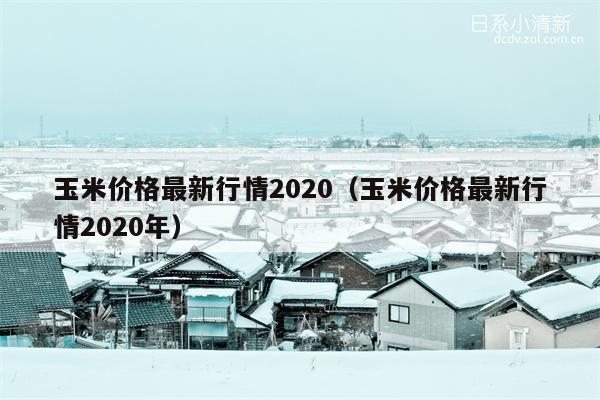 玉米价格最新行情2020（玉米价格最新行情2020年）