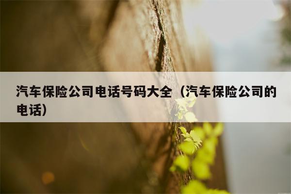 汽车保险公司电话号码大全（汽车保险公司的电话）