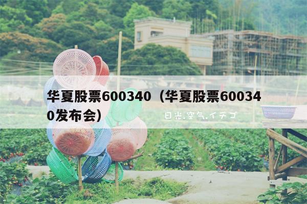 华夏股票600340（华夏股票600340发布会）