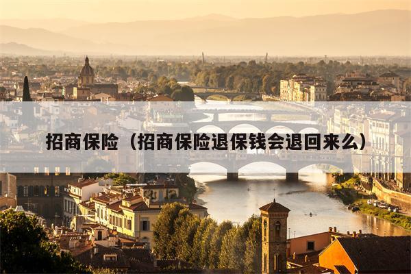 招商保险（招商保险退保钱会退回来么）