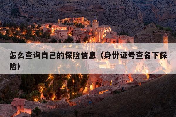怎么查询自己的保险信息（身份证号查名下保险）