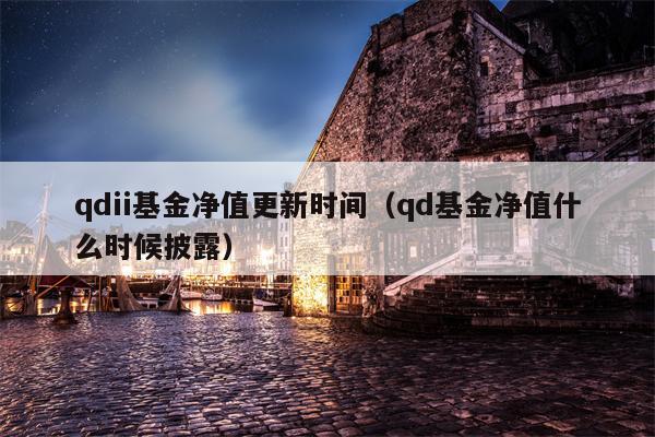 qdii基金净值更新时间（qd基金净值什么时候披露）