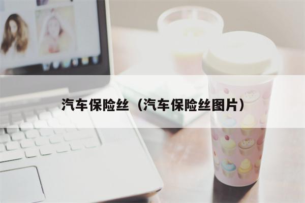 汽车保险丝（汽车保险丝图片）