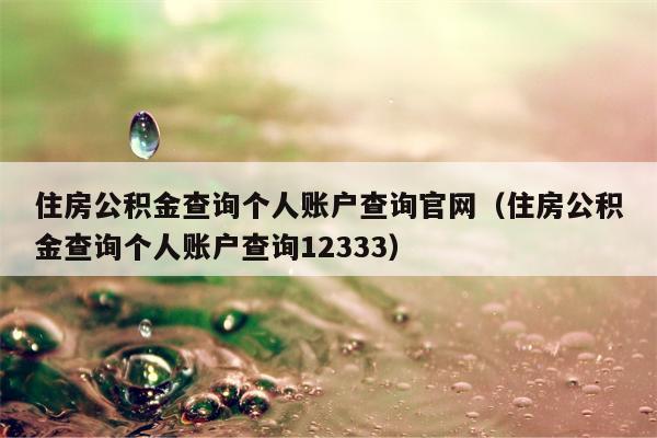 住房公积金查询个人账户查询官网（住房公积金查询个人账户查询12333）