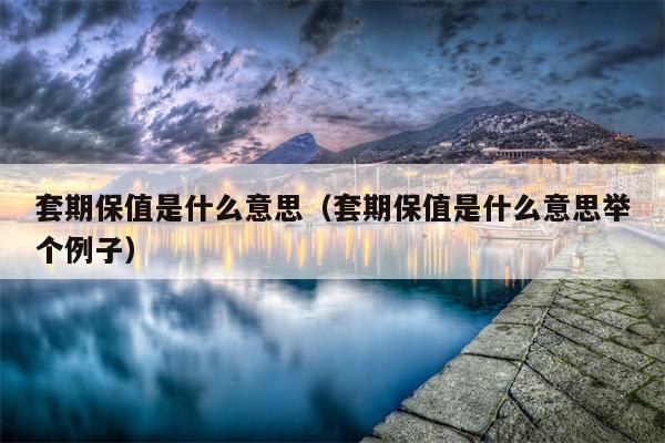 套期保值是什么意思（套期保值是什么意思举个例子）