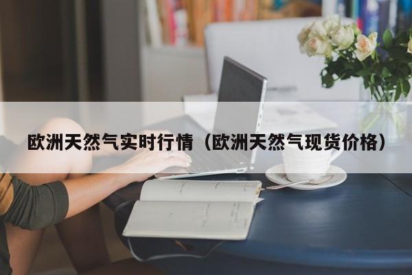 欧洲天然气实时行情（欧洲天然气现货价格）