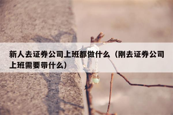 新人去证券公司上班都做什么（刚去证券公司上班需要带什么）