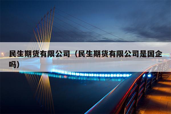 民生期货有限公司（民生期货有限公司是国企吗）