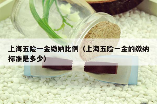 上海五险一金缴纳比例（上海五险一金的缴纳标准是多少）