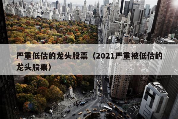 严重低估的龙头股票（2021严重被低估的龙头股票）