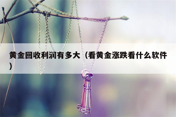 黄金回收利润有多大（看黄金涨跌看什么软件）