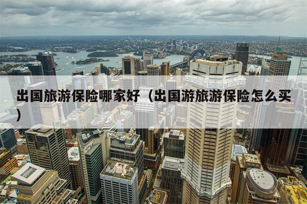 出国旅游保险哪家好（出国游旅游保险怎么买）