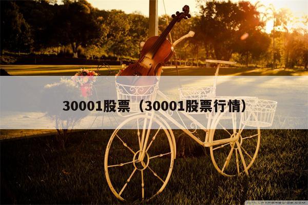 30001股票（30001股票行情）