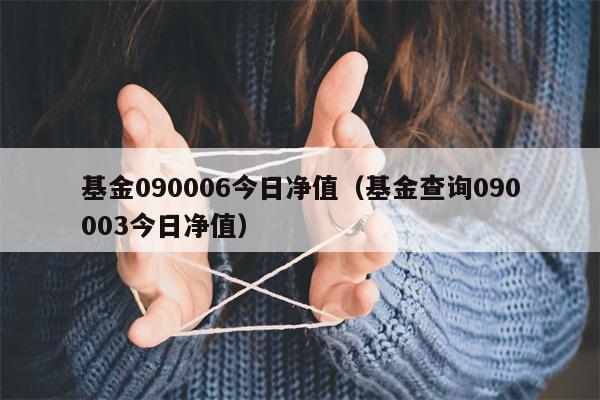 基金090006今日净值（基金查询090003今日净值）