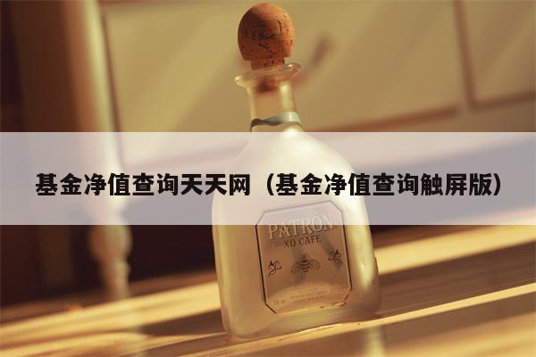 基金净值查询天天网（基金净值查询触屏版）