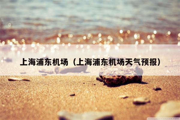上海浦东机场（上海浦东机场天气预报）