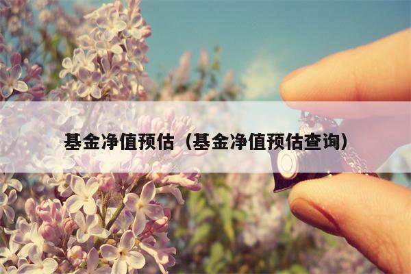 基金净值预估（基金净值预估查询）