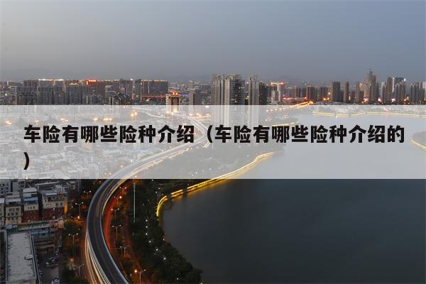 车险有哪些险种介绍（车险有哪些险种介绍的）