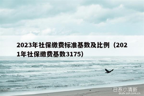 2023年社保缴费标准基数及比例（2021年社保缴费基数3175）
