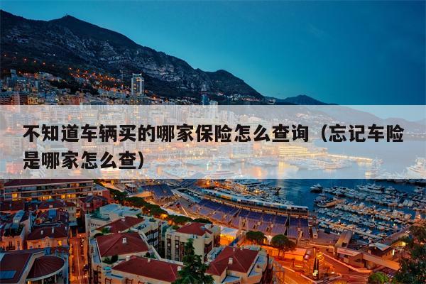 不知道车辆买的哪家保险怎么查询（忘记车险是哪家怎么查）