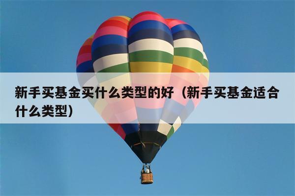 新手买基金买什么类型的好（新手买基金适合什么类型）