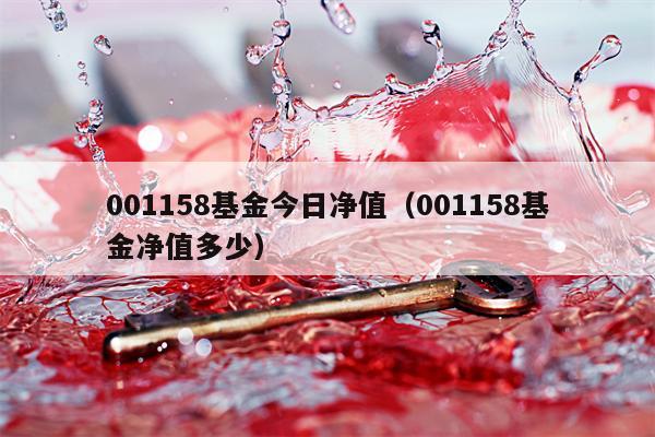 001158基金今日净值（001158基金净值多少）