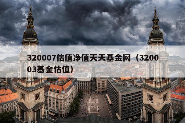 320007估值净值天天基金网（320003基金估值）