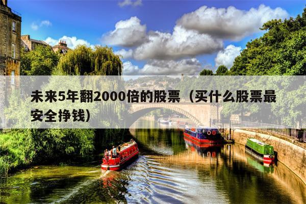 未来5年翻2000倍的股票（买什么股票最安全挣钱）