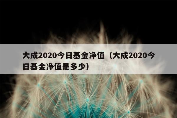 大成2020今日基金净值（大成2020今日基金净值是多少）