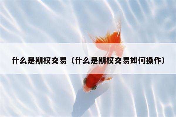 什么是期权交易（什么是期权交易如何操作）