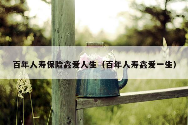 百年人寿保险鑫爱人生（百年人寿鑫爱一生）