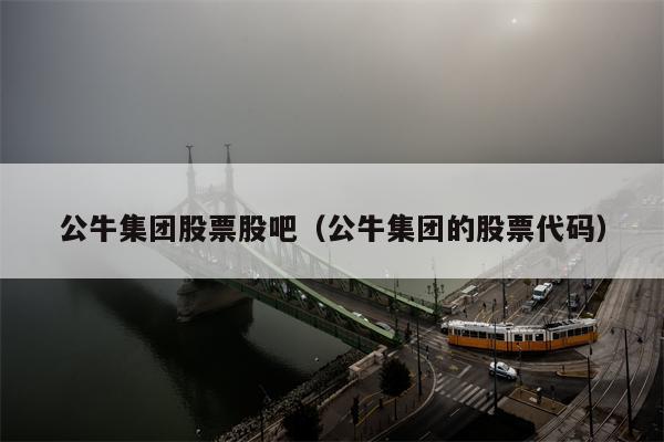 公牛集团股票股吧（公牛集团的股票代码）