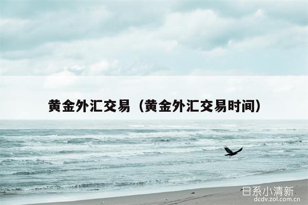 黄金外汇交易（黄金外汇交易时间）