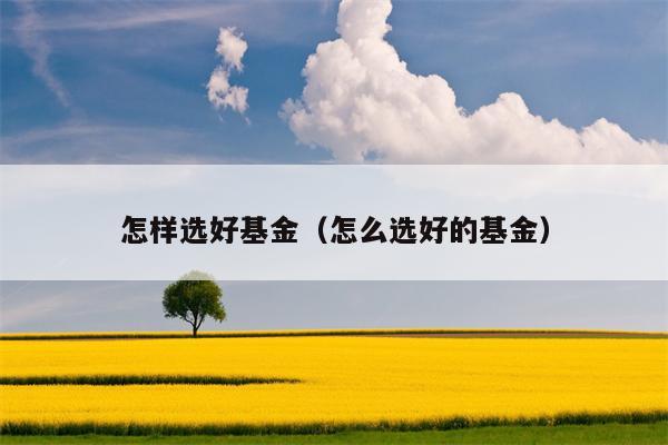 怎样选好基金（怎么选好的基金）