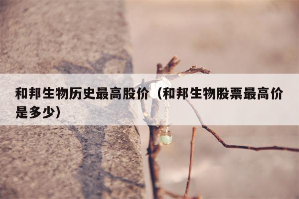 和邦生物历史最高股价（和邦生物股票最高价是多少）