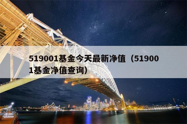 519001基金今天最新净值（519001基金净值查询）