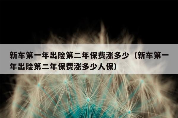 新车第一年出险第二年保费涨多少（新车第一年出险第二年保费涨多少人保）