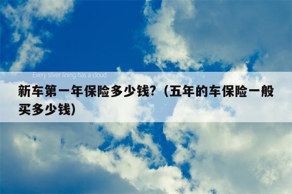 新车第一年保险多少钱?（五年的车保险一般买多少钱）