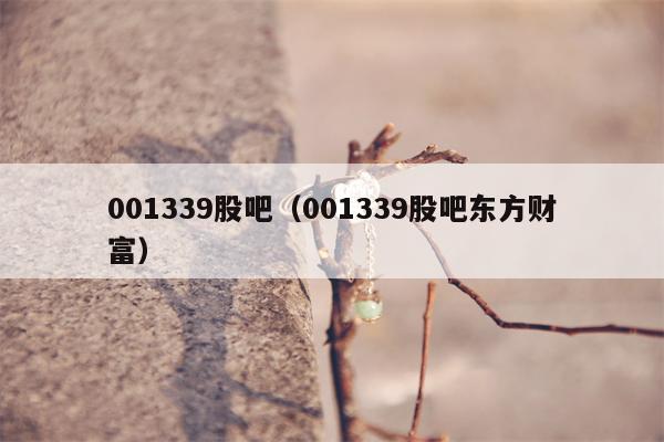 001339股吧（001339股吧东方财富）