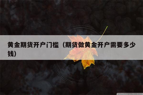 黄金期货开户门槛（期货做黄金开户需要多少钱）